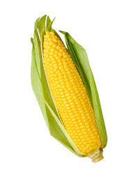 Corn